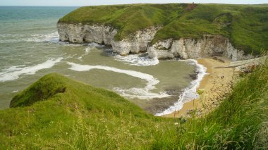 Flamborough Kayalıkları Doğa Koruma Alanı Avrupa 'nın en önemli deniz kuşu kolonilerinden birine ev sahipliği yapmaktadır.. 