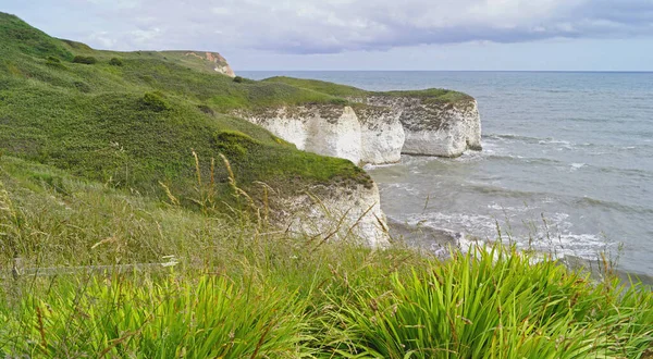 Réserve Naturelle Flamborough Cliffs Abrite Une Des Colonies Oiseaux Marins — Photo