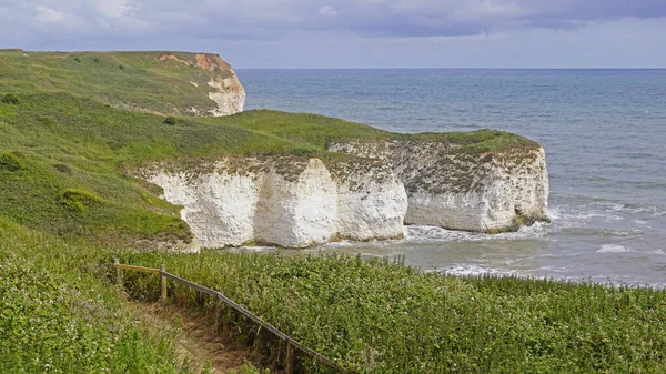 Flamborough Kayalıkları Doğa Koruma Alanı Avrupa 'nın en önemli deniz kuşu kolonilerinden birine ev sahipliği yapmaktadır.. 