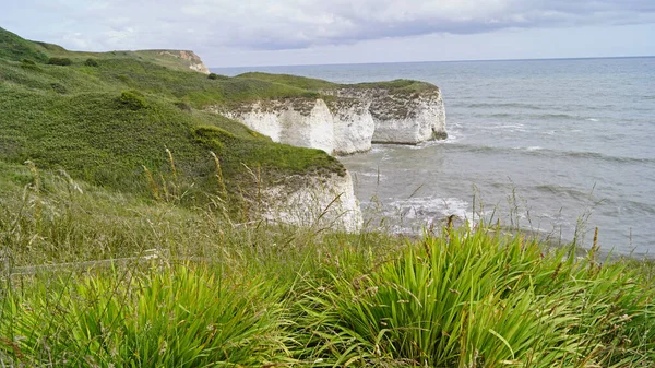 Réserve Naturelle Flamborough Cliffs Abrite Une Des Colonies Oiseaux Marins — Photo