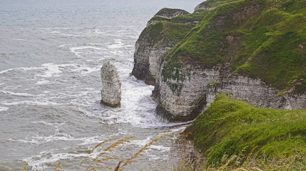 Flamborough Cliffs Nature Reserve Ospita Una Delle Più Importanti Colonie — Foto Stock