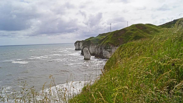 Réserve Naturelle Flamborough Cliffs Abrite Une Des Colonies Oiseaux Marins — Photo