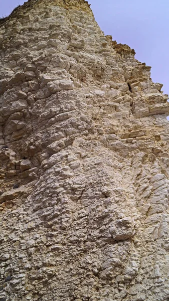 Přírodní Rezervace Flamborough Cliffs Domovem Jedné Nejdůležitějších Kolonií Mořských Ptáků — Stock fotografie