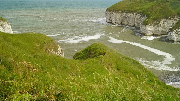 Flamborough Cliffs Nature Reserve Lar Uma Das Mais Importantes Colônias — Fotografia de Stock