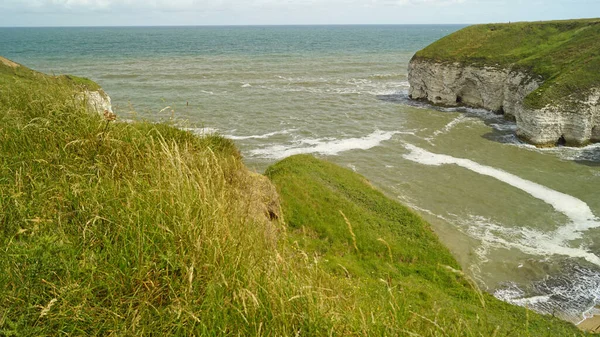 Flamborough Kayalıkları Doğa Koruma Alanı Avrupa 'nın en önemli deniz kuşu kolonilerinden birine ev sahipliği yapmaktadır.. 
