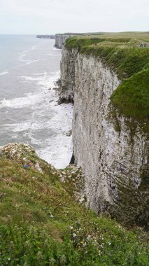 Bempton Kayalıkları İngiltere 'nin Bempton şehrinde bir doğa koruma alanıdır. Orada, diğer şeylerin yanı sıra, sümsük kuşları, martılar, jilet gagalı gagalar, yaygın gilemot, siyah bacaklı kedi yavrusu ve Fulmar kuş cinsi.