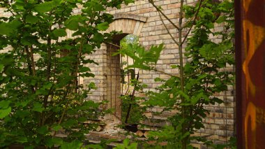 Almanya Halle 'deki Boellberg fabrika binasının yıkıntısı. 