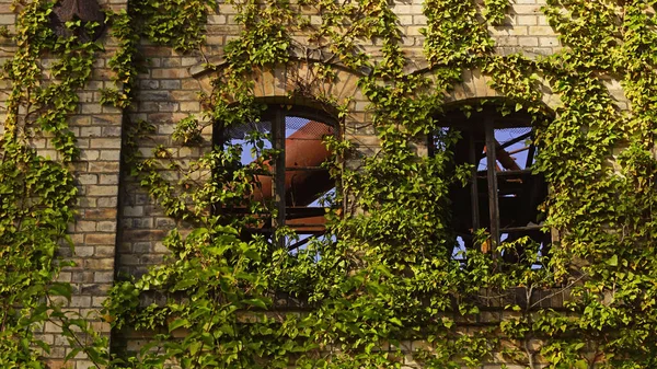 Ruina Del Edificio Almacenamiento Del Complejo Molinos Boellberg Halle Alemania — Foto de Stock