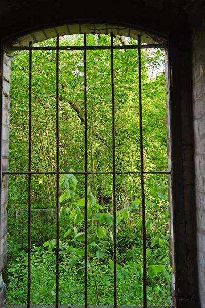 Ruina Del Edificio Almacenamiento Del Complejo Molinos Boellberg Halle Alemania — Foto de Stock