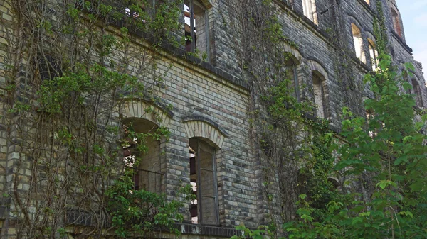 Ruina Del Edificio Almacenamiento Del Complejo Molinos Boellberg Halle Alemania — Foto de Stock