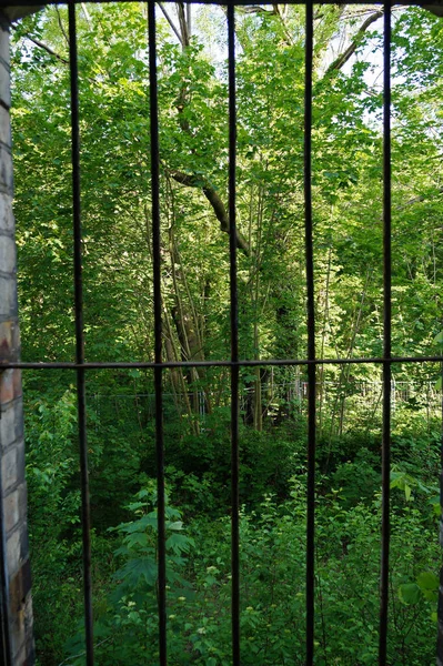 Ruin Från Lagerbyggnaden Boellbergs Brukskomplex Halle Tyskland — Stockfoto