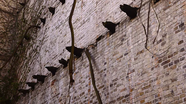 Ruin of the storage building of the Boellberg mill complex in Halle in Germany