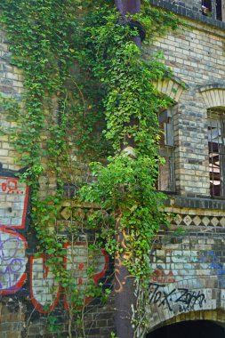 Almanya Halle 'deki Boellberg fabrika binasının yıkıntısı. 