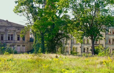 Almanya Halle 'deki Boellberg fabrika binasının yıkıntısı. 