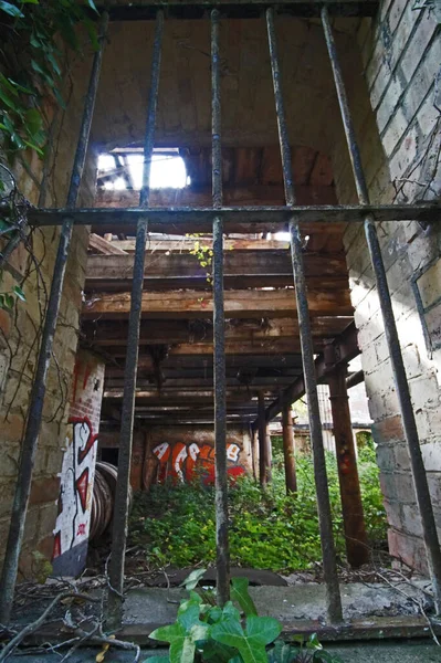 Ruina Del Edificio Almacenamiento Del Complejo Molinos Boellberg Halle Alemania — Foto de Stock