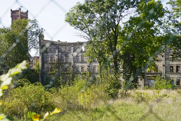 Ruina Del Edificio Almacenamiento Del Complejo Molinos Boellberg Halle Alemania — Foto de Stock