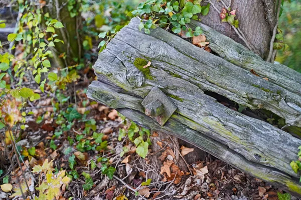 Holzbalken Und Bretter Auf Der Baustelle Nach Dem Abriss Eines — Stockfoto