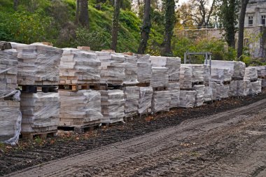 Halle 'deki Boellberger Mill binasının yıkılması 
