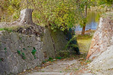 Almanya 'da Halle Saale' de sarmaşıklı kaya duvar