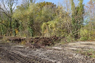 Almanya 'da bir inşaat sahasının hazırlanması