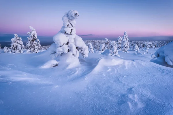 경사지에는 눈덮인 조각품들이 극지방 — 스톡 사진