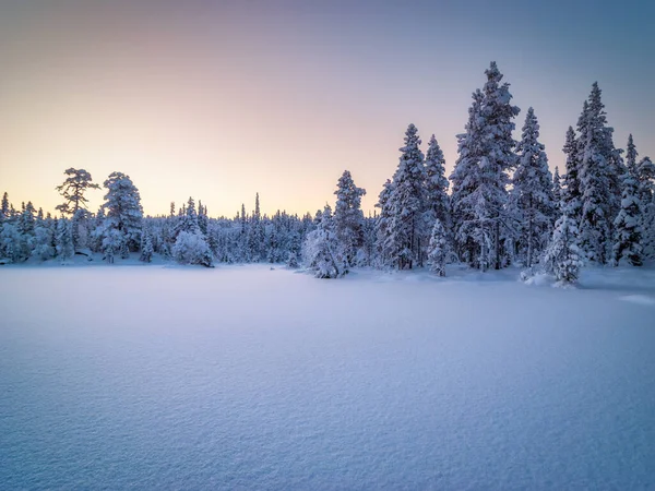 Paisagem Ártica Inverno Floresta Inverno Parque Nacional Paanajrvi — Fotografia de Stock