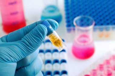 araştırma laboratuarında test tüpü tutan bilim adamı