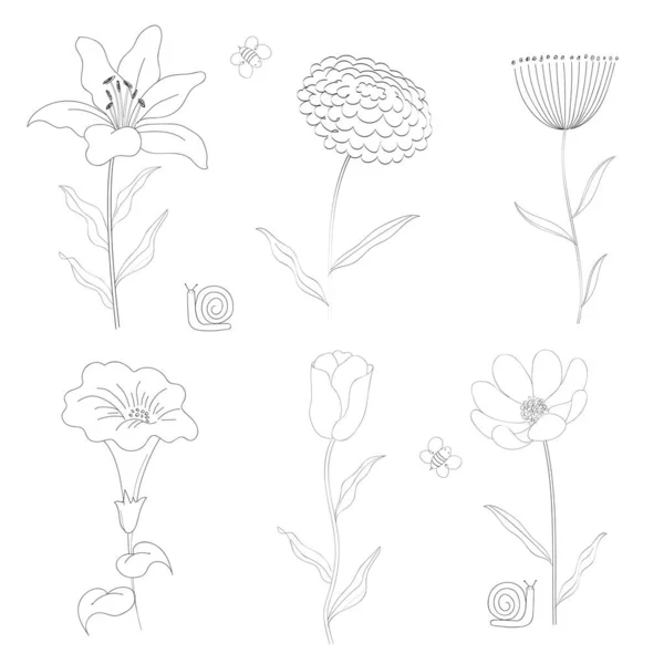 Line Art Hand Drawn Flowers Insects Collection Vector Elements — Stock Vector