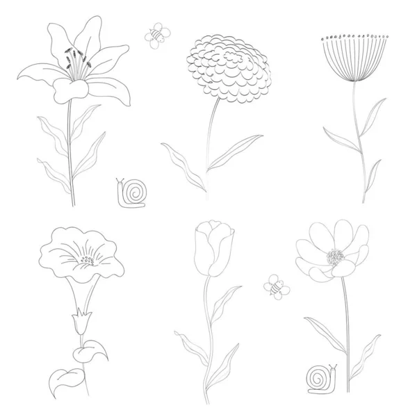 Linje Konst Handritade Blommor Insekter Samling Vektorelement Royaltyfria illustrationer