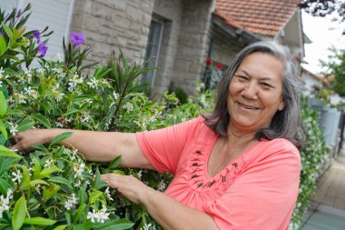 : Güler yüzlü, yıldız yasemin bitkileriyle ilgilenen, yeşil yapraklara ve çiçeklere dokunan kıdemli bir kadın, gün ışığında bir konutun yakınında..