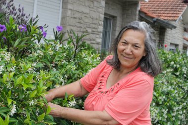 : Güler yüzlü, yıldız yasemin bitkileriyle ilgilenen, yeşil yapraklara ve çiçeklere dokunan kıdemli bir kadın, gün ışığında bir konutun yakınında..