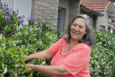 : Güler yüzlü, yıldız yasemin bitkileriyle ilgilenen, yeşil yapraklara ve çiçeklere dokunan kıdemli bir kadın, gün ışığında bir konutun yakınında..