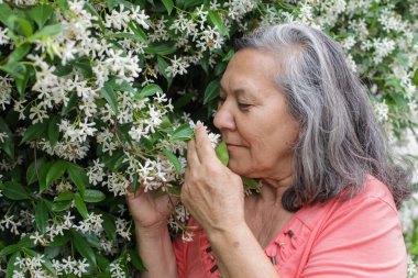 Son sınıf Latin bir kadının bahçedeki yasemin çiçeklerini koklarken, sakin ve huzurlu bir anın tadını çıkarırken..