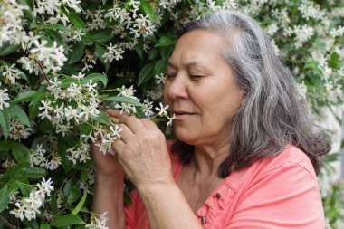 Son sınıf Latin bir kadının bahçedeki yasemin çiçeklerini koklarken, sakin ve huzurlu bir anın tadını çıkarırken..