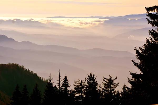 Pietrele Lui Solomon 'a giden yol, β ana Brasov ve Postavarul. Transilvanya 'daki manzara ve orman.