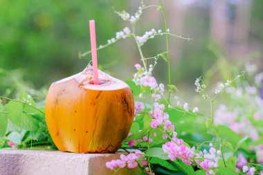 İçmeye hazır samanlı genç hindistan cevizi