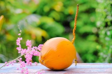 Taze sarı, taze hindistan cevizi meyvesi