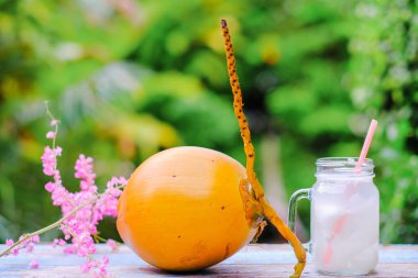 Taze sarı, taze hindistan cevizi meyvesi