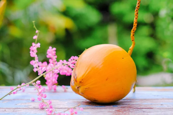 Frische Gelbe Junge Kokosnussfrüchte — Stockfoto