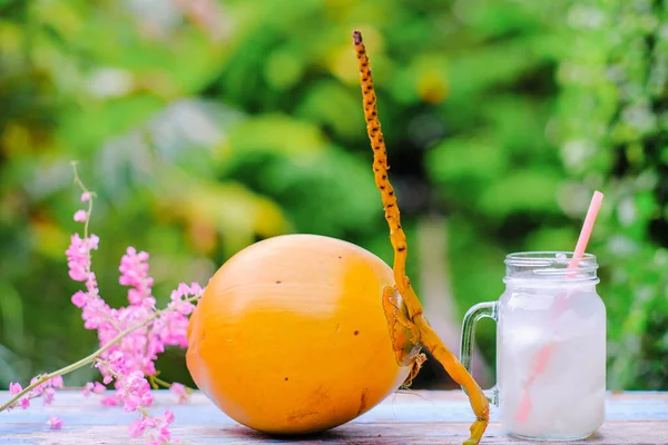 Fruta Coco Joven Amarilla Fresca — Foto de Stock