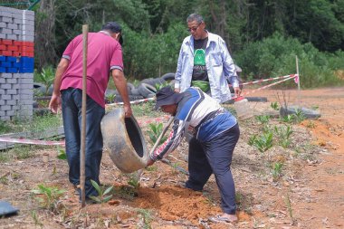 Muadzam Şah, Malezya - 22 Kasım 2020: Göl kıyısındaki ağaç dikmede birbirine yardım eden sakinler. İnsanlar peyzaj işleri yapıyor.