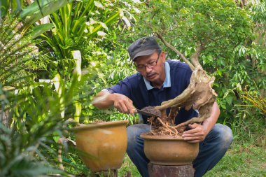 Arka bahçede bahçıvanlığın kutlu olsun.