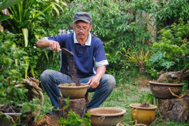 Arka bahçede bahçıvanlığın kutlu olsun.