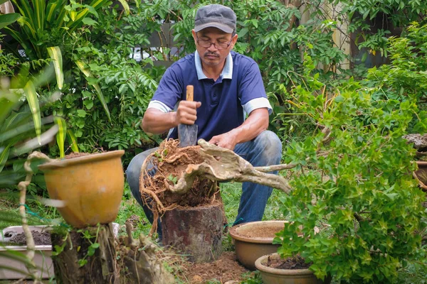 Šťastný Senior Muž Zahradničení Zahradě — Stock fotografie