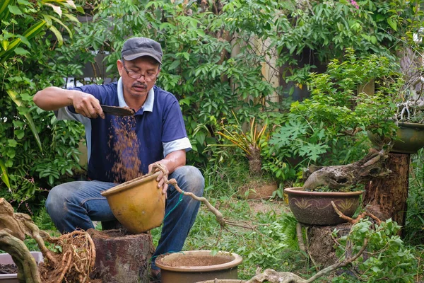 Arka bahçede bahçıvanlığın kutlu olsun.