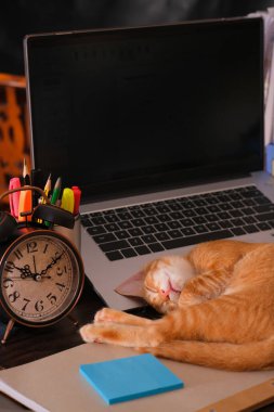Laptop klavyesinde uyuyan turuncu kedi. Masasında çalar saat, not ve kırtasiye malzemesi var.