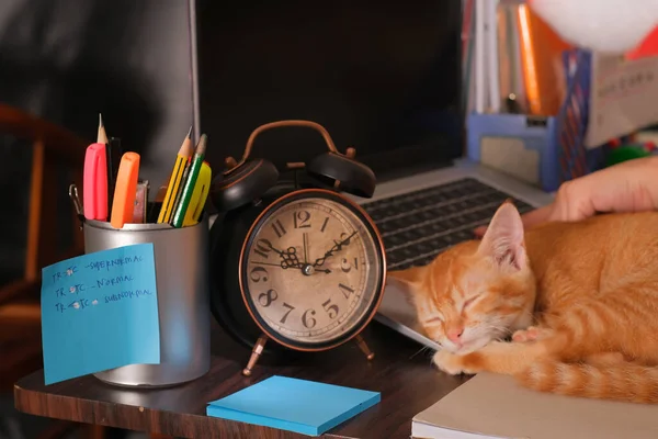 Orange Cat Asleep Laptop Keyboard Alarm Clock Note Stationery Desk — Stock Photo, Image