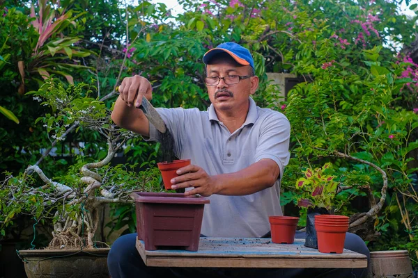 Asijské Muž Výsadba Coleus Rostlina Hrnci Zahradě — Stock fotografie