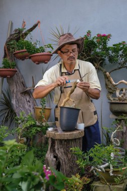 Bir adam bahçede adım adım Bougainvillea çiçeği naklediyor.