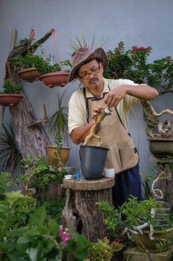 Bir adam bahçede adım adım Bougainvillea çiçeği naklediyor.